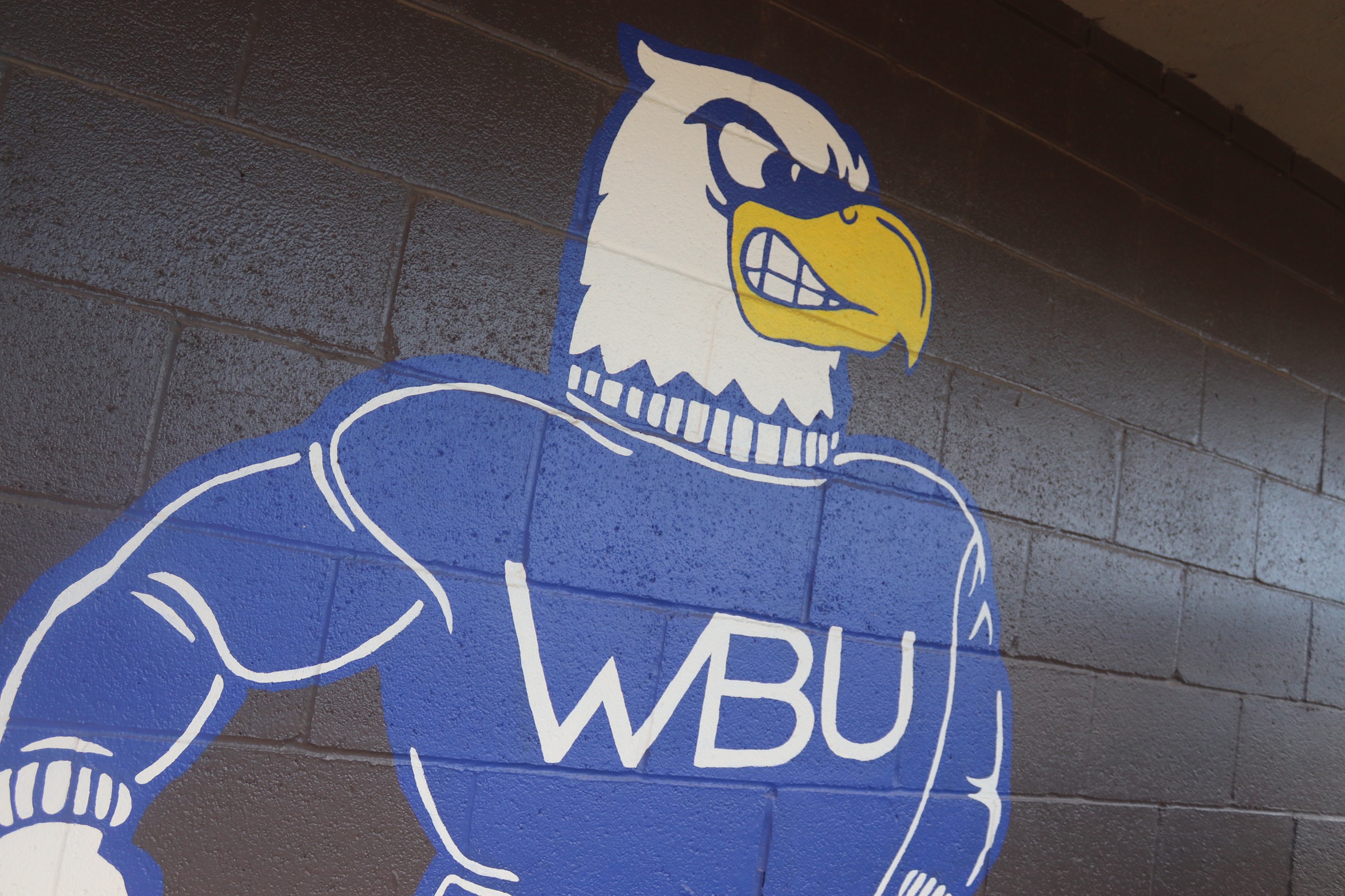 19 WBU Spring Student-Athletes Earn NAIA Scholar-Athlete Award