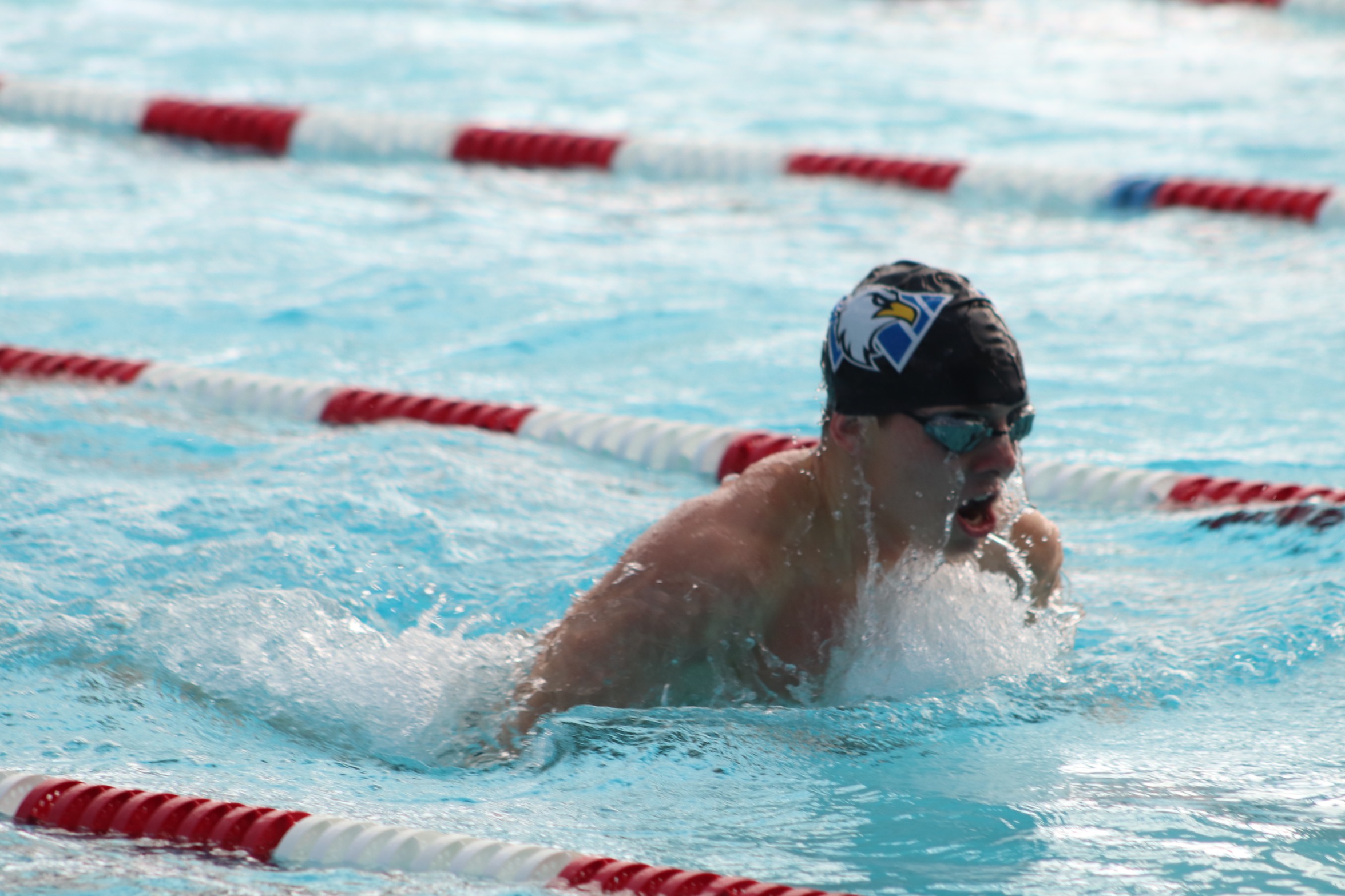 Eagles Swim Competed at Sam Freas Invite