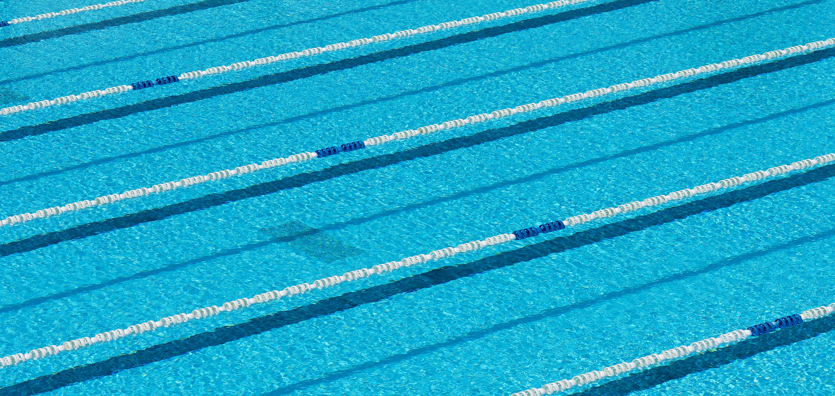 WBU Swim Team Competes in Hendrix Relays & Classic