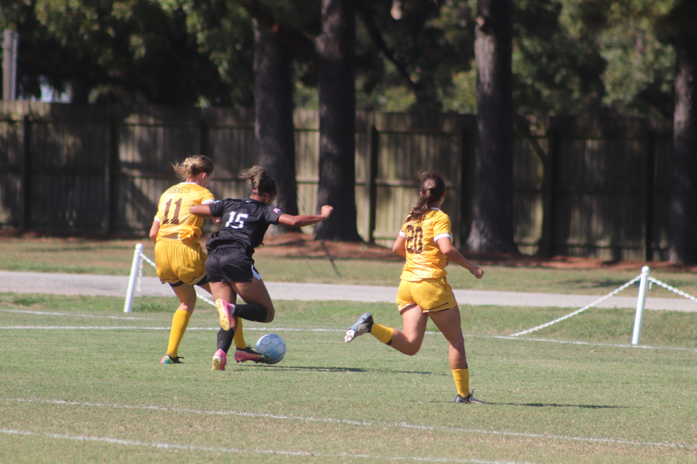Minner Lifts Eagles to Win Over Hornets